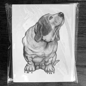 NOTECARDS, Set of 10, DOGS”, From Original Freehand Pencil Art, All Occasion, 10 Different Dog Drawings, Blank Inside, Use as Cards or as Art to NOTECARDS, Set of 10, DOGS”, From Original Freehand Pencil Art, All Occasion, 10 Different Dog Drawings, Blank Inside, Use as Cards or as Art to