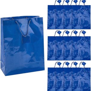 Fun Express Bolsas de regalo grandes de papel azul real de 10 x 13 pulgadas con etiqueta, 12 piezas Fun Express Bolsas de regalo grandes de papel azul real de 10 x 13 pulgadas con etiqueta, 12 piezas