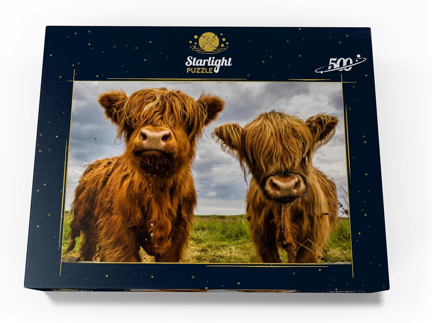Two Highland Cows – Rompecabezas prémium de 500 piezas para adultos
