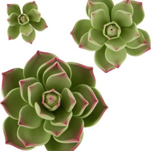 Global Sugart Art Succulents Parva Surtido de flores de pastel de azúcar, 3 unidades por el chef Alan Tetreault Global Sugart Art Succulents Parva Surtido de flores de pastel de azúcar, 3 unidades por el chef Alan Tetreault