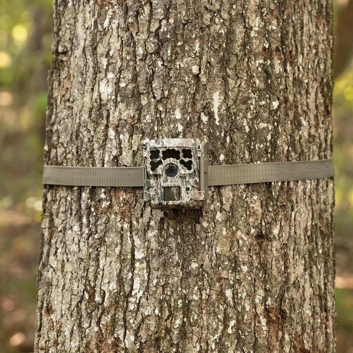 Moultrie Kit de cámara de rastreo Micro-42, 720p