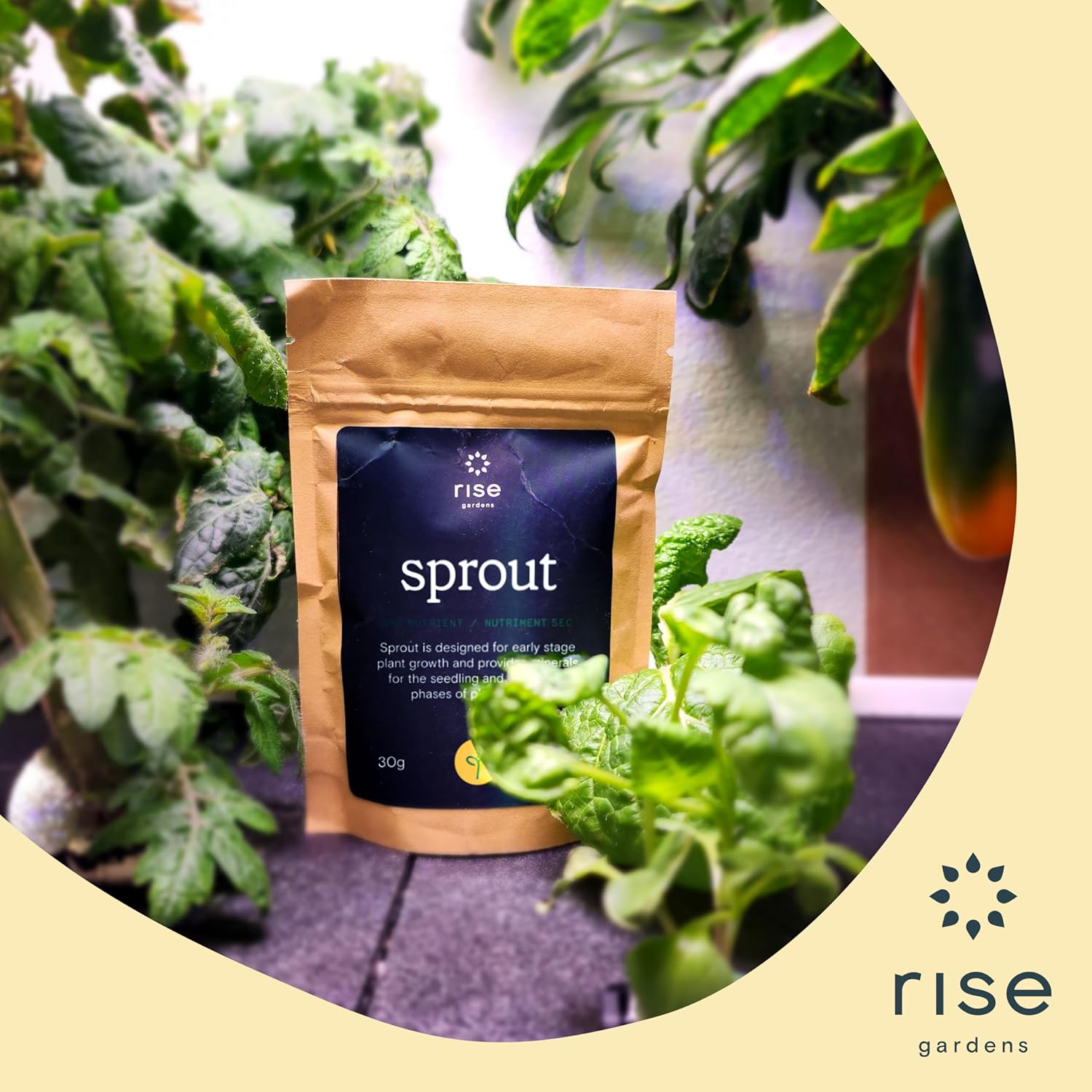 Rise Gardens Dry Sprout Nutrient  Nutrientes hidropónicos y alimentos vegetales para el crecimiento de plantas de interior, nutrientes secos, 1.06 oz