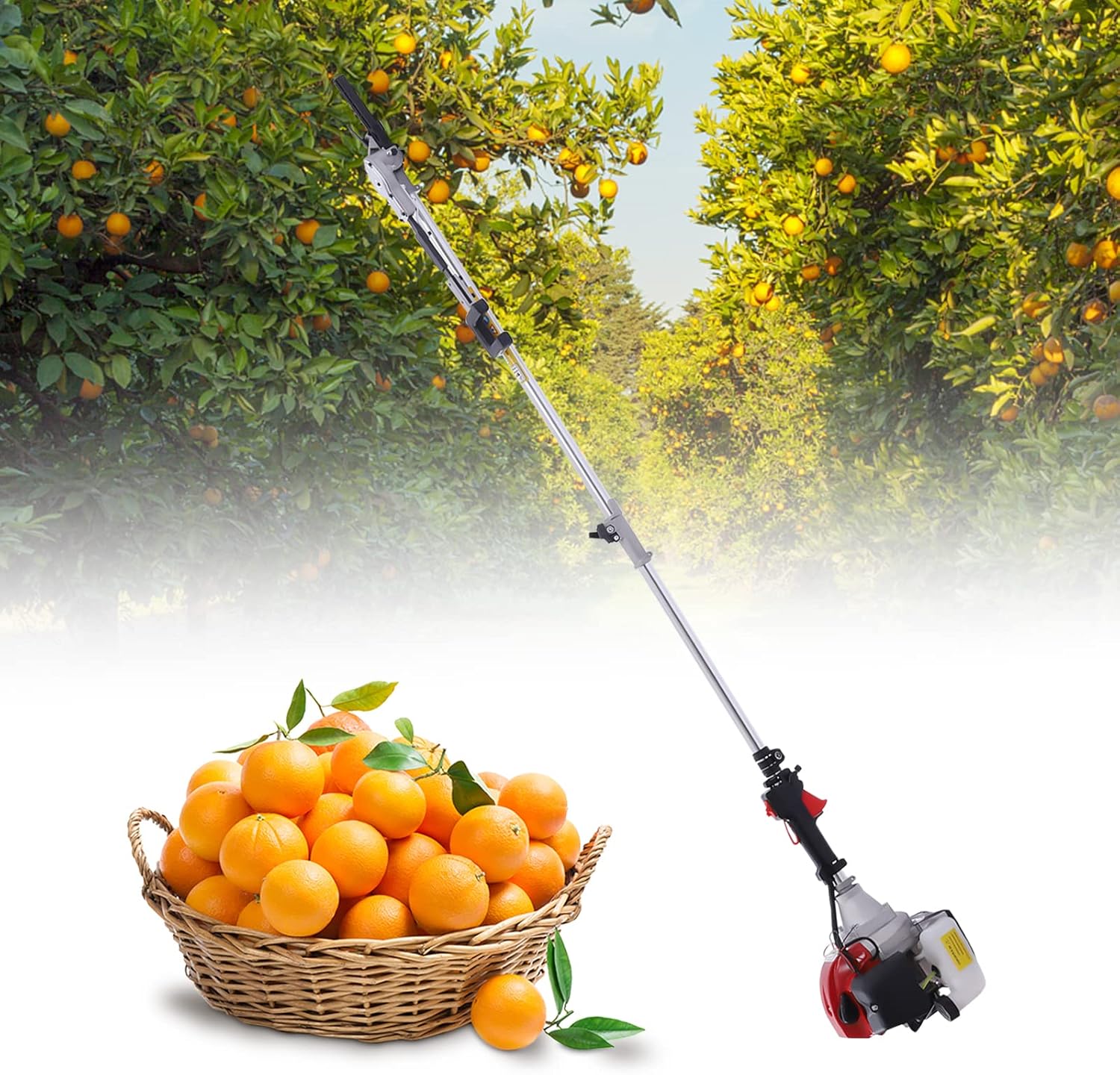 Recogedor de frutas vibratorio, alimentado por gasolina, motor de dos tiempos de 43 cc para aceitunas, nueces, granos de café