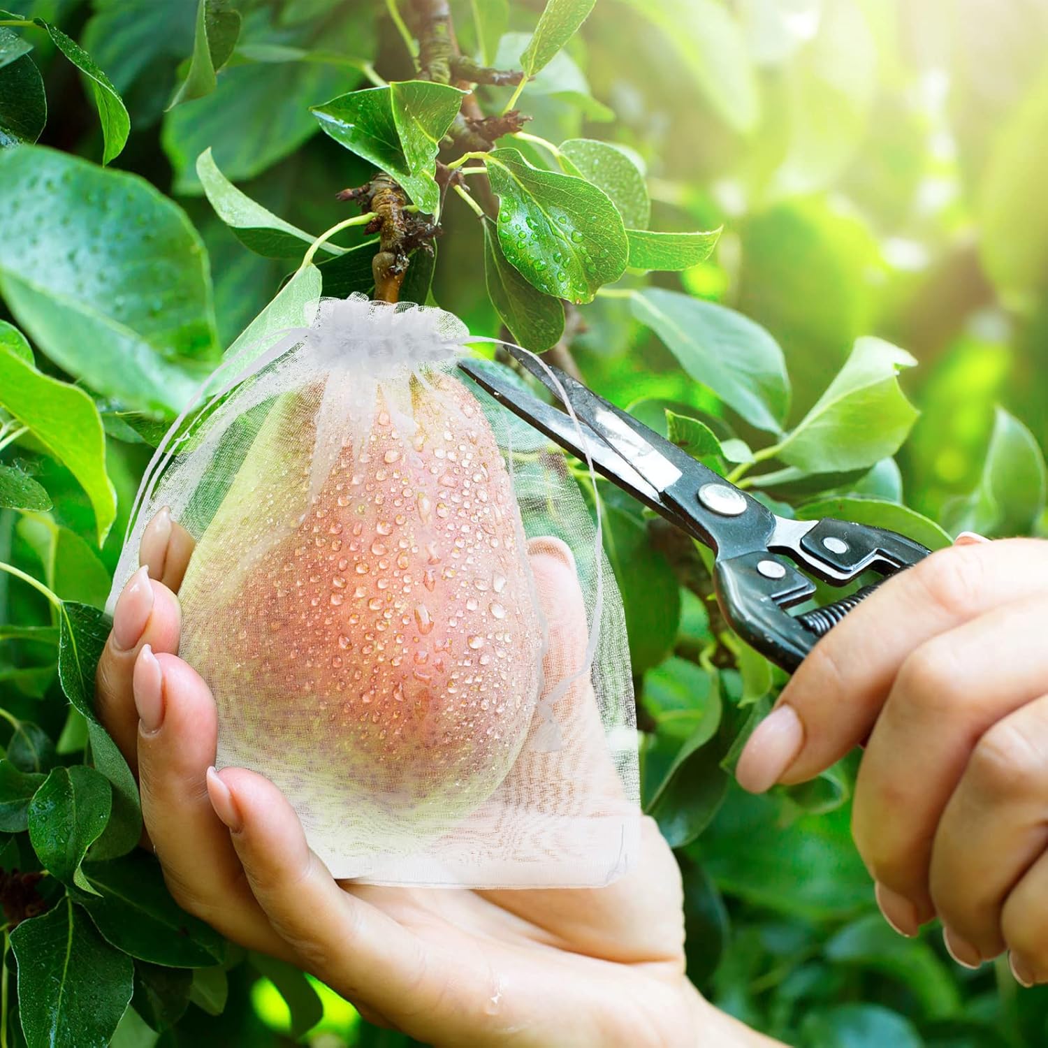 100 bolsas de protección de frutas, bolsas de red de frutas para árboles frutales, cubierta de jardín frutal, bolsa de malla de 5 x 7 pulgadas con