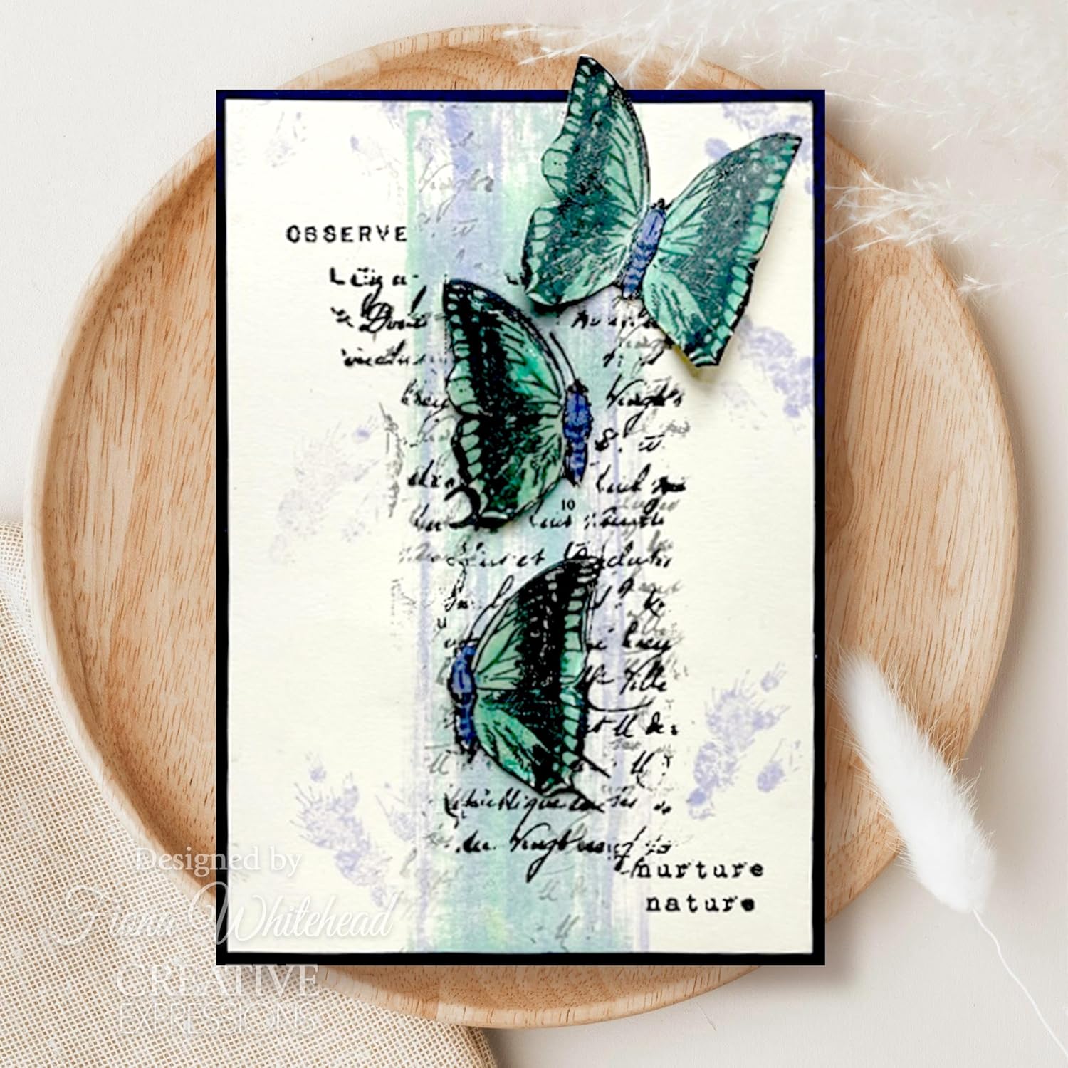 Juego de sellos transparentes 4 “X6” por Sam Poole-Faded Flora CEC1046
