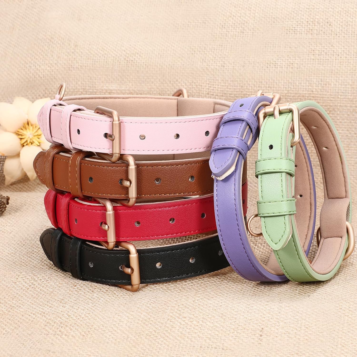 WHIPPY Collar de cuero para perro pequeño, mediano y grande, ajustable, suave, transpirable, acolchado, de cuero con hebilla de aleación, resistente