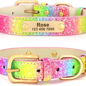 Didog Collares de perro con purpurina, collar de perro de piel sintética personalizada con lentejuelas brillantes, collares personalizados con placa Didog Collares de perro con purpurina, collar de perro de piel sintética personalizada con lentejuelas brillantes, collares personalizados con placa