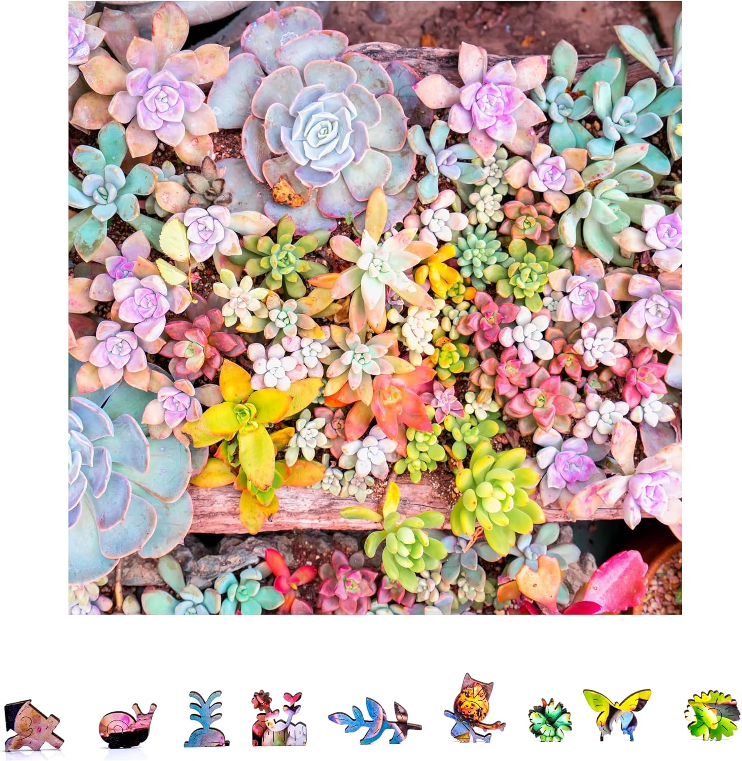 ZenChalet Garden Succulents – Rompecabezas de madera prémium de 1000 piezas para adultos, piezas de forma única con construcción de madera duradera,