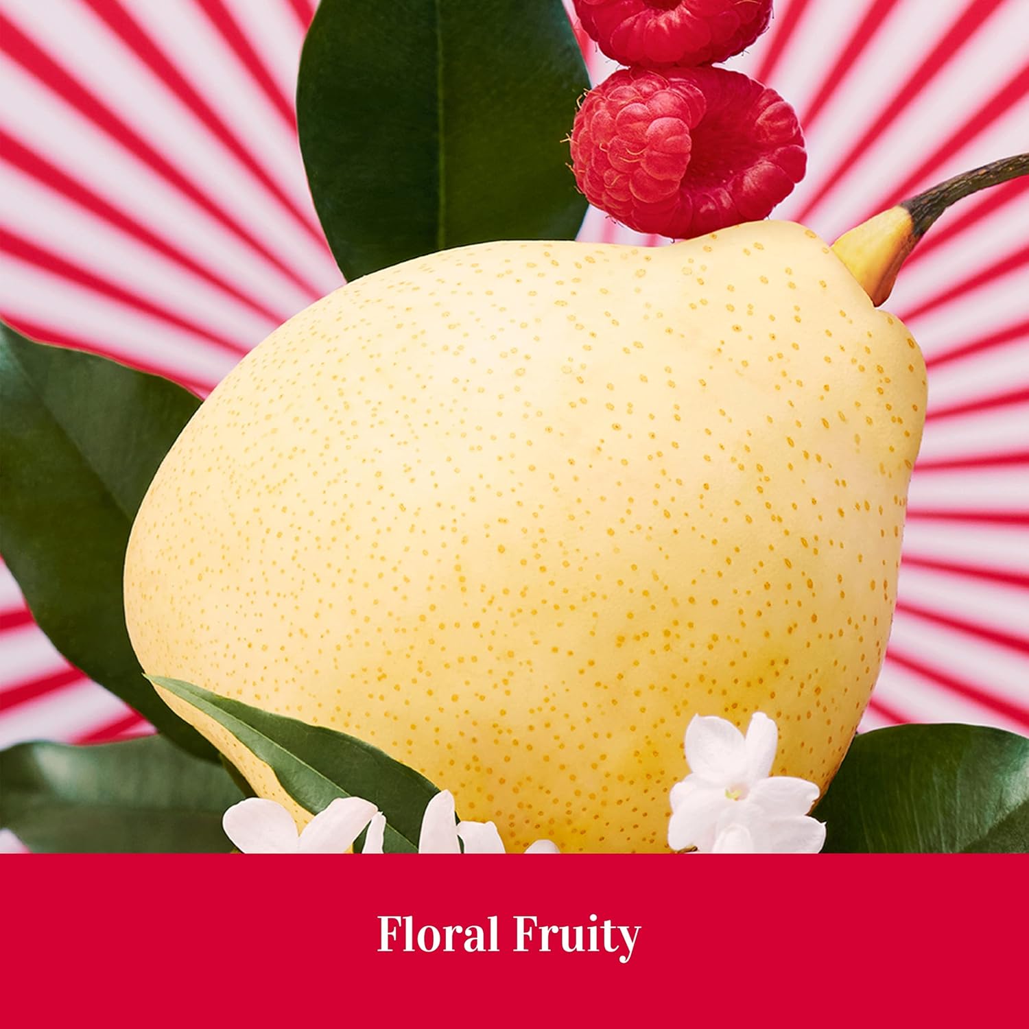 ESCADA Fairy Love Edición Limitada Eau de Toilette
