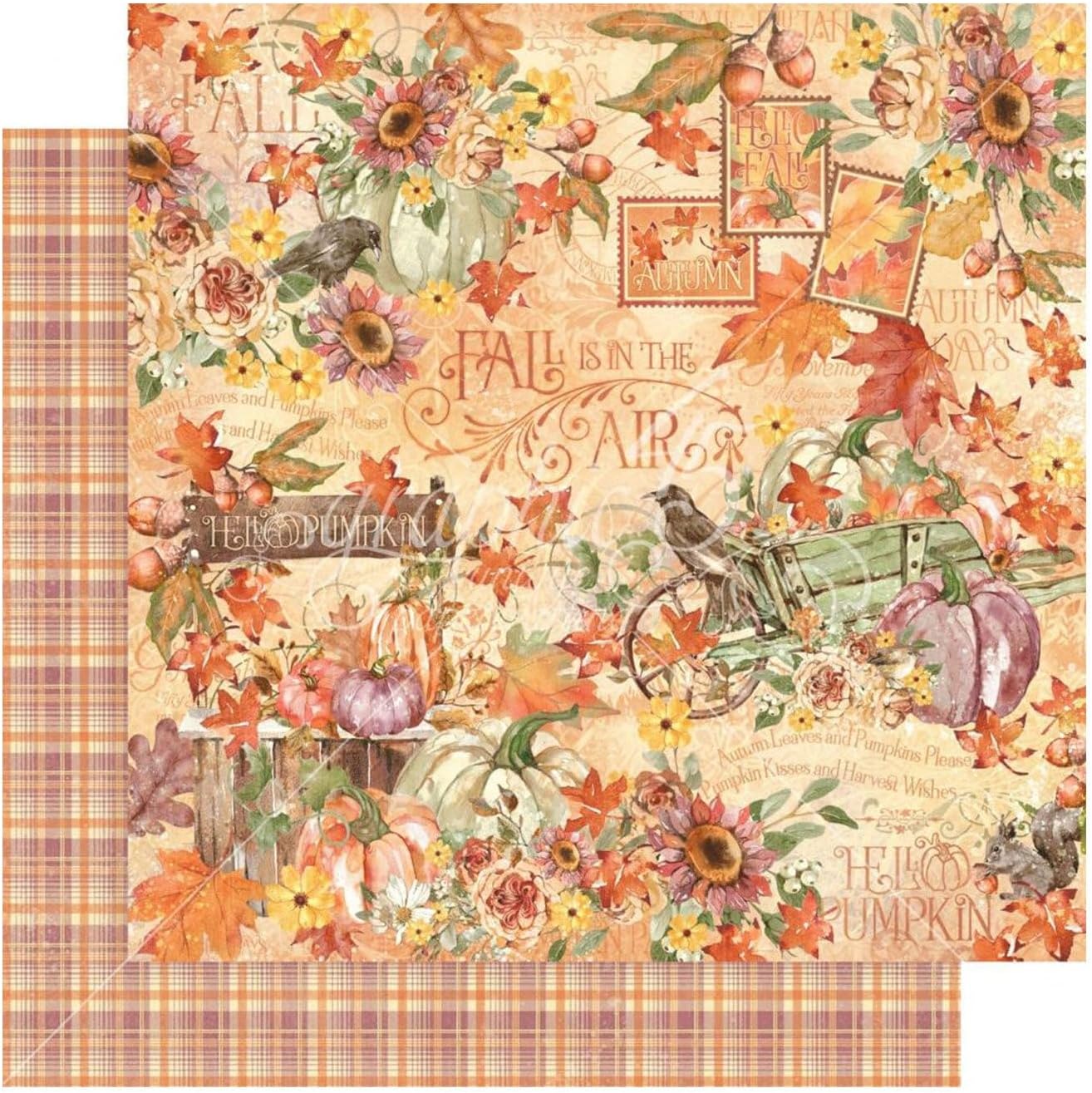 Graphic 45 Paquete de colección 12.0 x 12.0 in, Hello Pumpkin