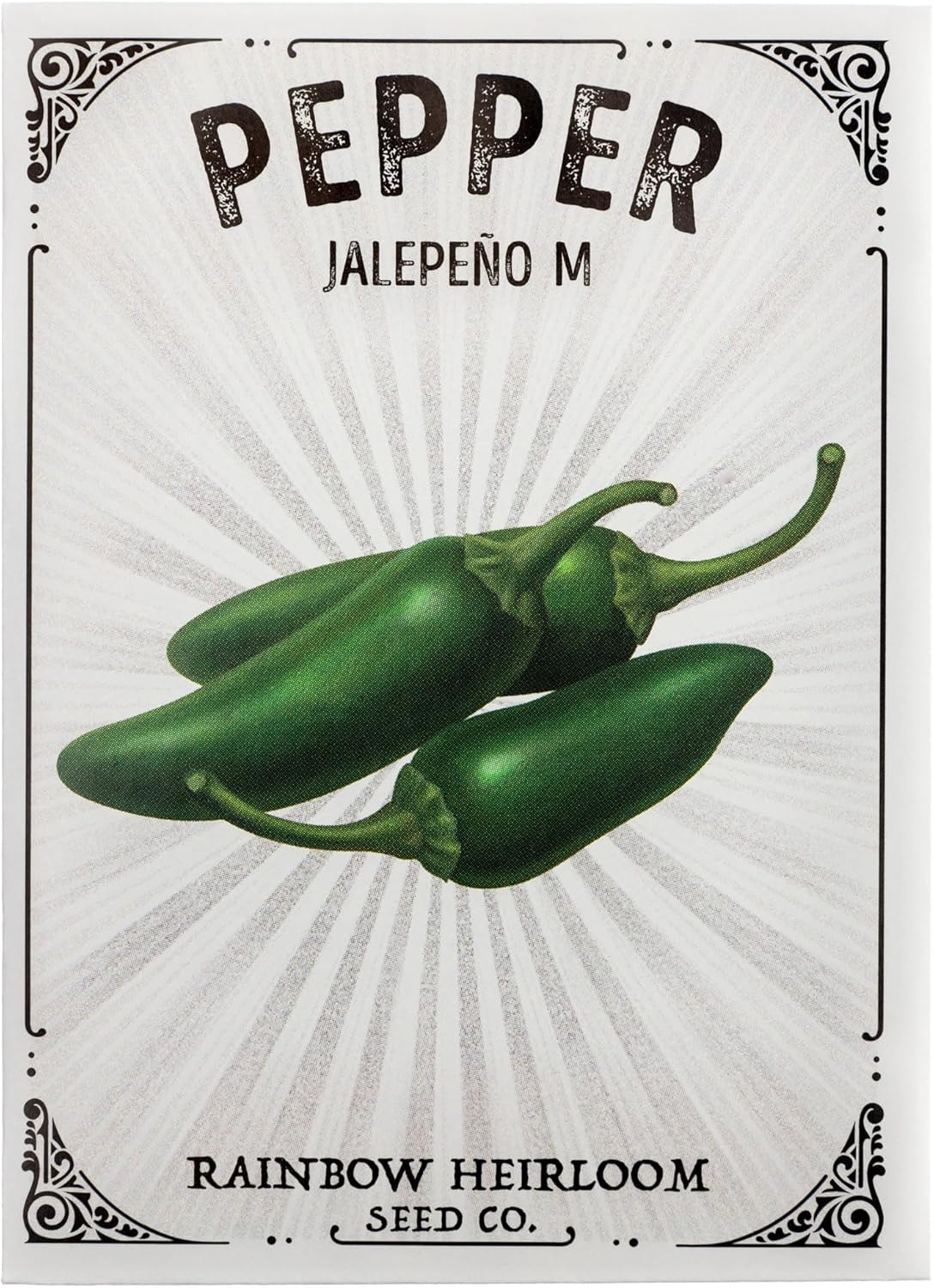 Semillas de pimiento para plantar  Variedad Jalapeño M  Semillas sin OMG y reliquia  Paquete de semillas con instrucciones de cultivo por Rainbow