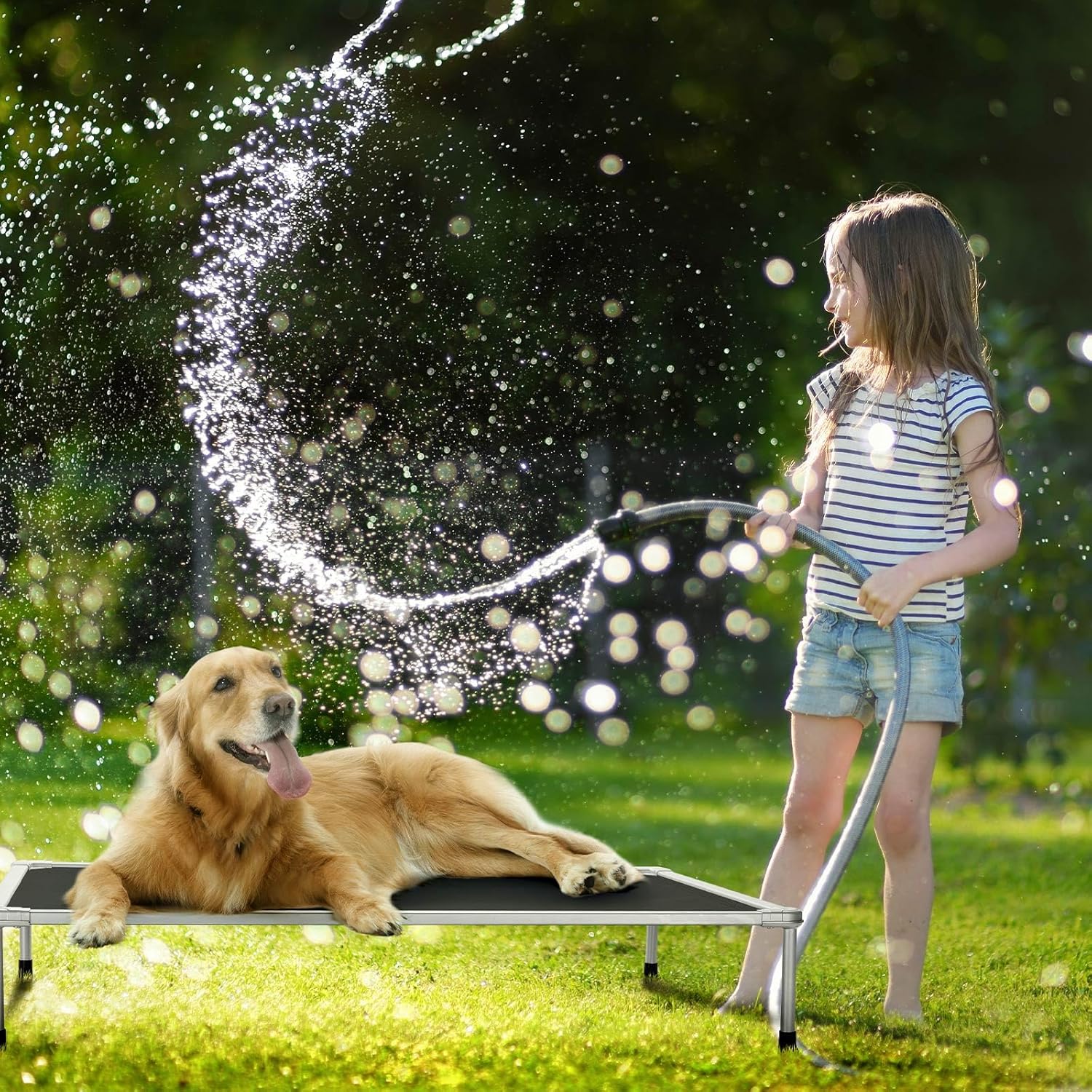 Veehoo – Cama elevada tipo catre para perros grandes, refrescante, a prueba de mordiscos, lavable y con patas antideslizantes, para interiores y