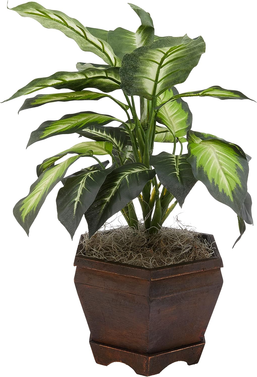 Nearly Natural Dieffenbachia dorada con jarrón de madera Planta de seda