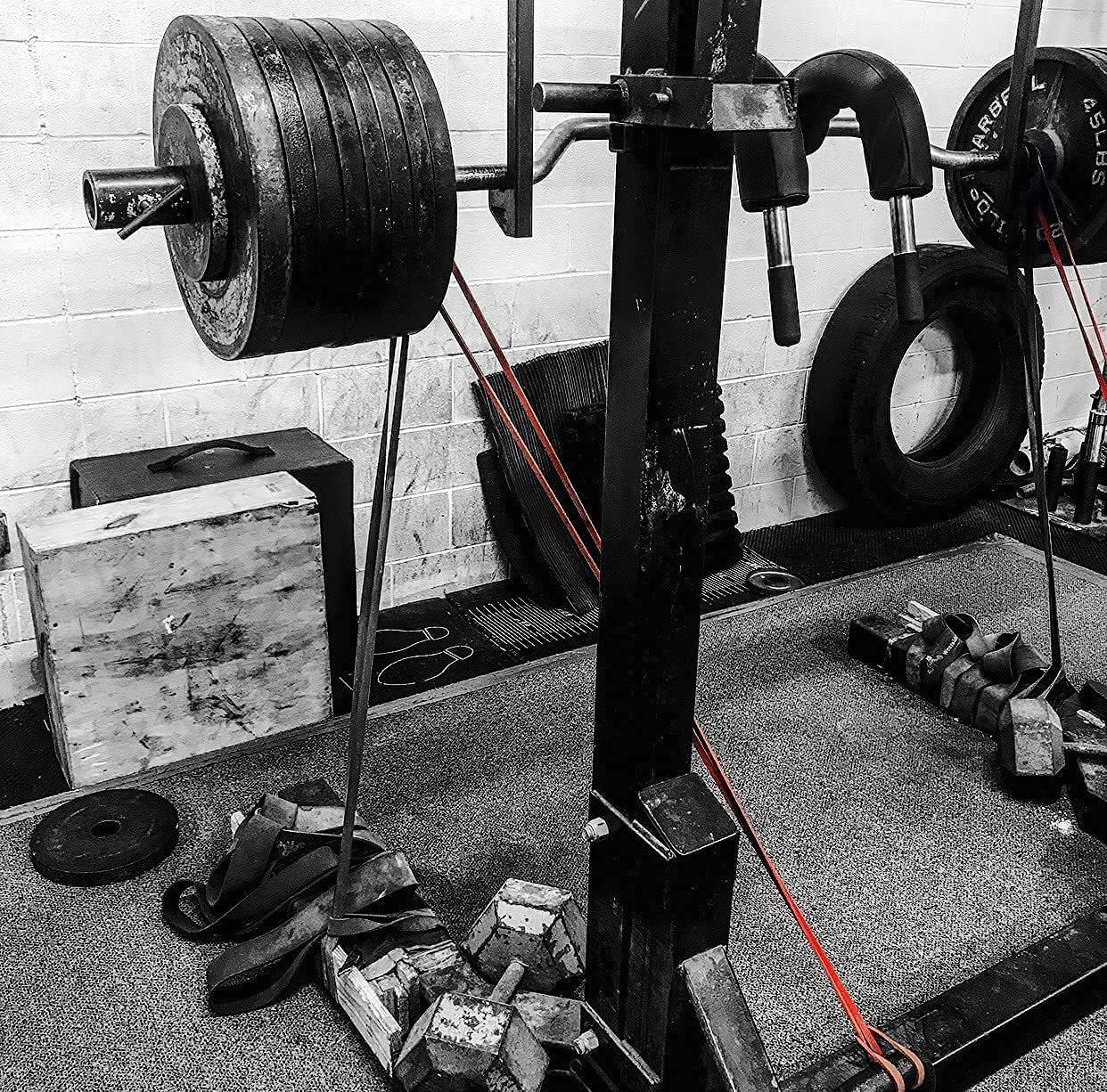 Westside Barbell Bandas de resistencia, bandas de ejercicio de entrenamiento resistentes, bandas para sentadillas de resistencia