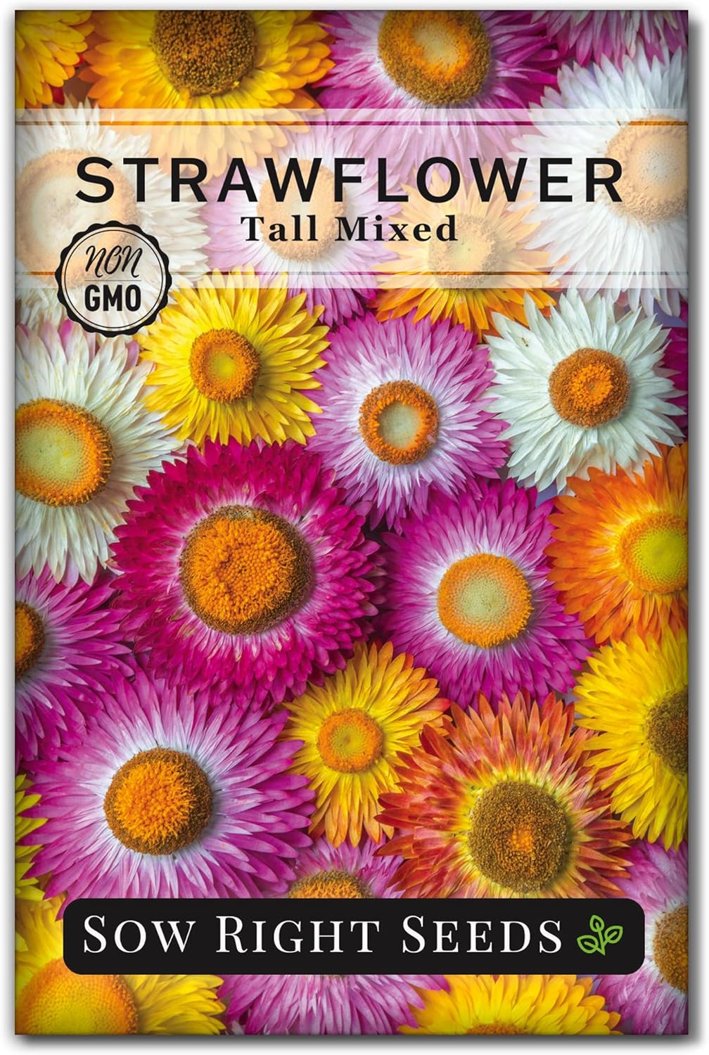 Sow Right Seeds – Semillas altas de fresa mixta – Paquete de reliquia sin OMG con instrucciones para cultivar – Hermoso para plantar en tu jardín de