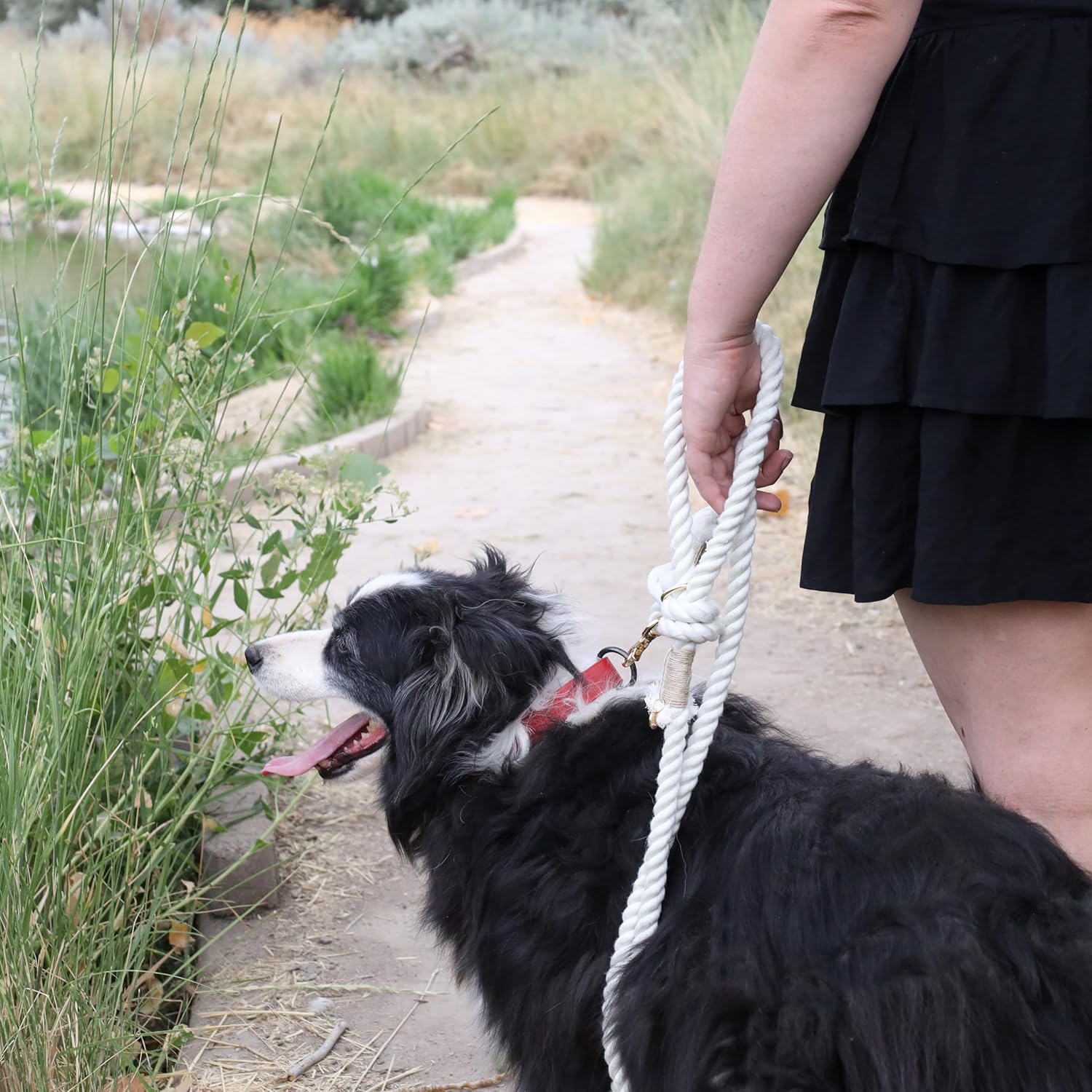 Correa de cuerda para perro de alta calidad, correa de cuerda de algodón trenzada suave y duradera para perros medianosperros grandes, correa ligera