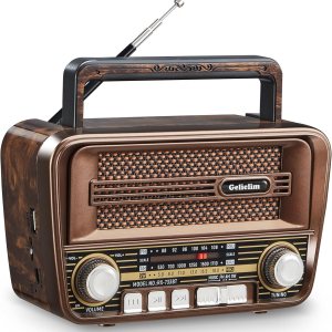 Gelielim Radio retro AM FM, radio portátil de onda corta con la mejor recepción, altavoz Bluetooth 5.3, funciona con pilas, compatible con tarjeta Gelielim Radio retro AM FM, radio portátil de onda corta con la mejor recepción, altavoz Bluetooth 5.3, funciona con pilas, compatible con tarjeta