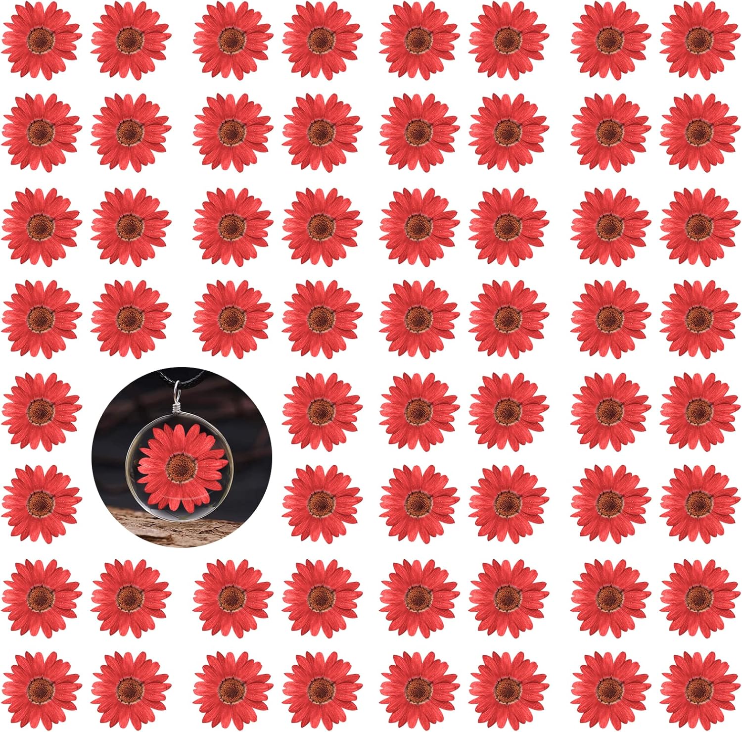 60 flores rojas prensadas girasoles para adornos de manualidades, flores secas naturales de 1.2 pulgadas, margarita grande para joyería de resina,