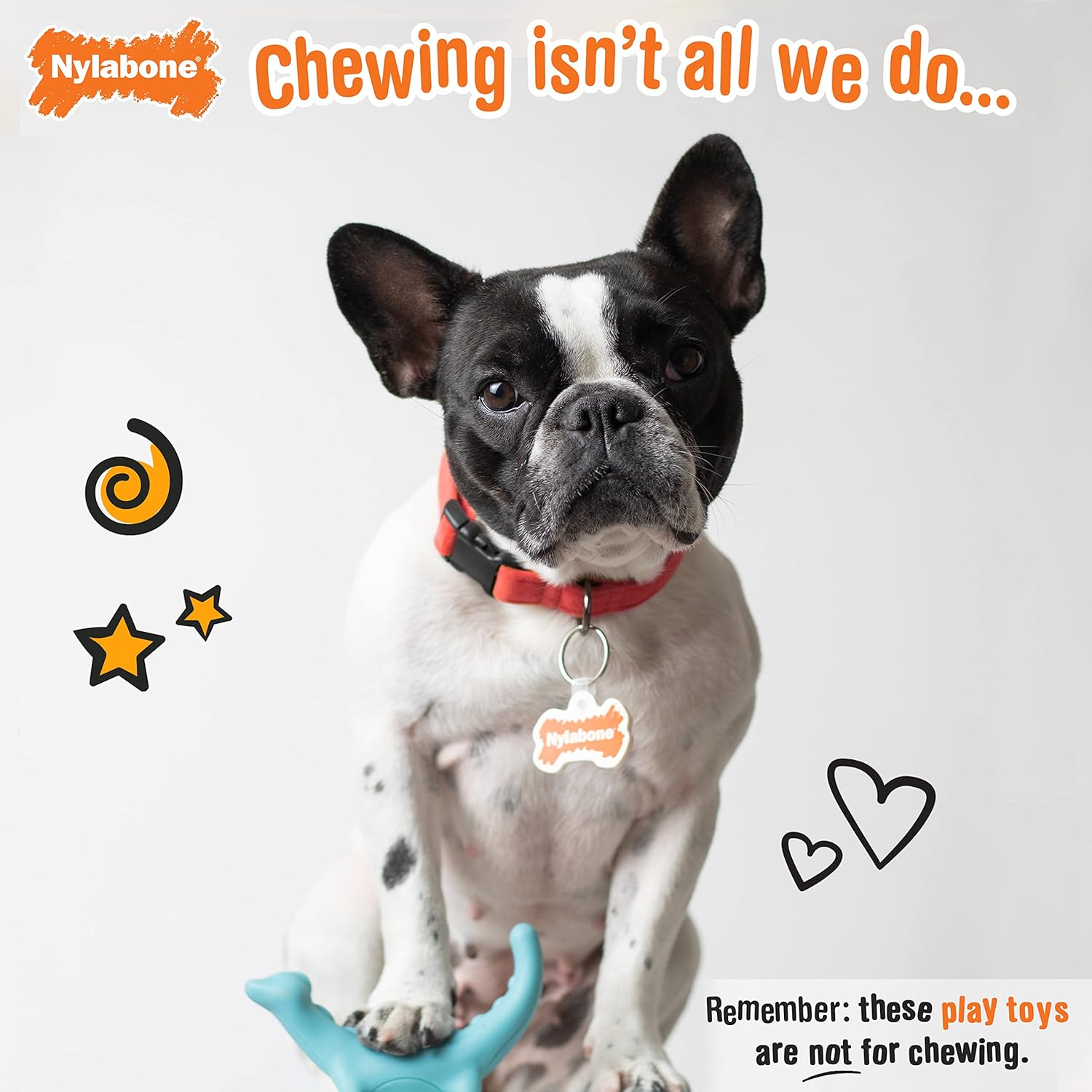 Nylabone Rexii – Juguete interactivo para perros pequeños – Juguete ligero y flexible para perros para juego creativo y ejercicio para perros