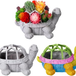 2 macetas de tortuga para suculentas, bonitas macetas con orificio de drenaje para interiores y exteriores, macetas de cactus para el hogar, 2 macetas de tortuga para suculentas, bonitas macetas con orificio de drenaje para interiores y exteriores, macetas de cactus para el hogar,