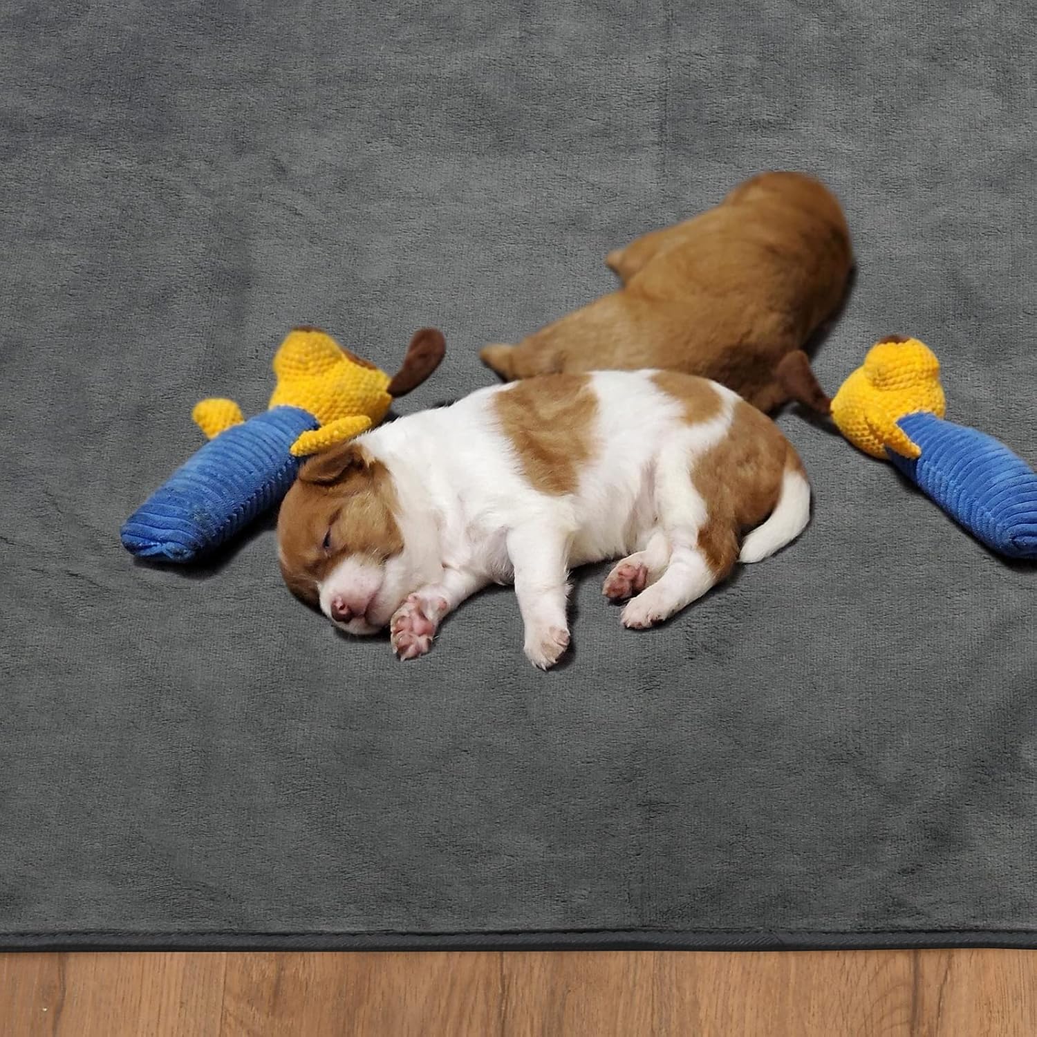 3 paquetes de almohadillas para orina de perro, lavables, de 65 x 48 pulgadas y 34 x 36 pulgadas, color blanco, reutilizables, impermeables, para