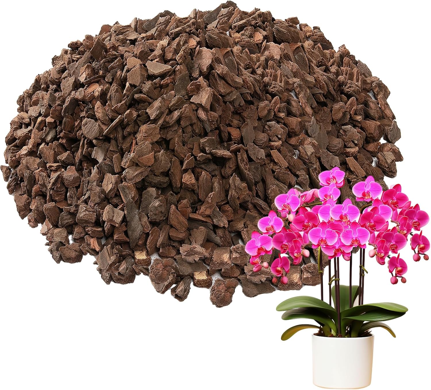 Corteza para macetas de orquídeas, corteza de madera de pino orgánica mediana de Nueva Zelanda secada al sol para orquídeas, mezcla de compost