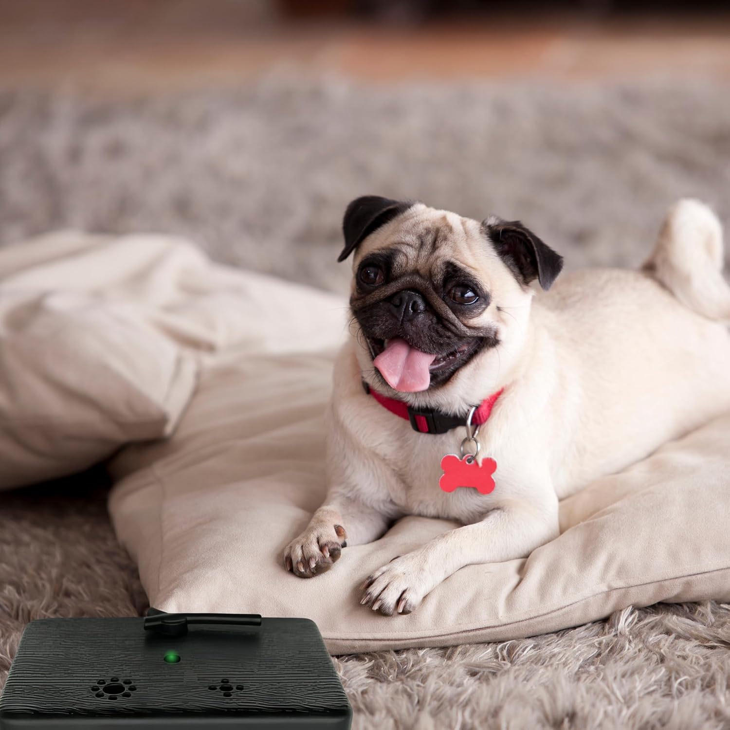 BELMAKS Dispositivo ultrasónico de control de ladridos para perros, dispositivos ultrasónicos de 50 pies para detener los ladridos de perro con 3