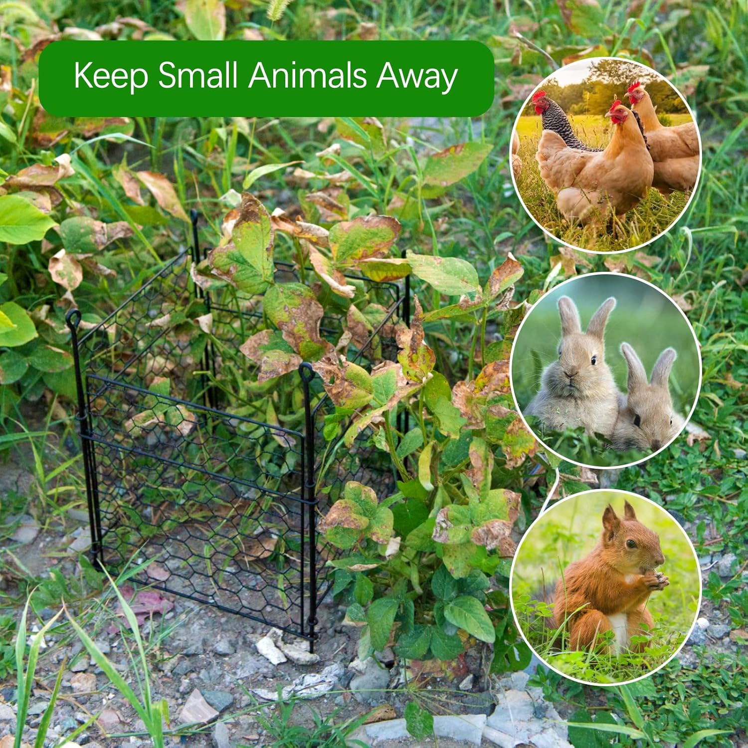 nutroeno Protector de plantas Cloche de alambre de pollo, soporte de jaula de malla para verduras, plantas y arbustos de animales, conejos, gatos y