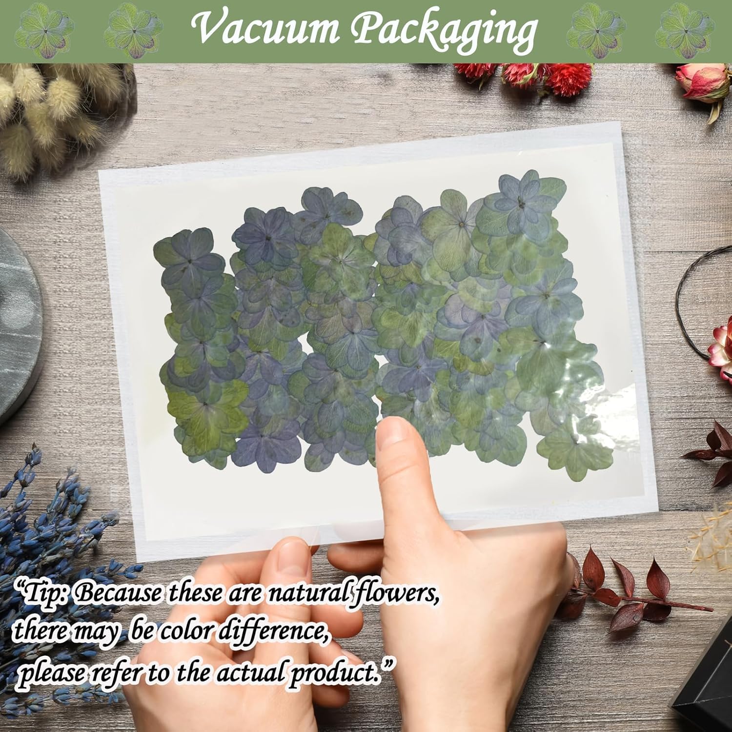 HEISENLIN 60 piezas de flores secas verdes hortensias dobles para adornos de resina, flores prensadas naturales para manualidades de resina,