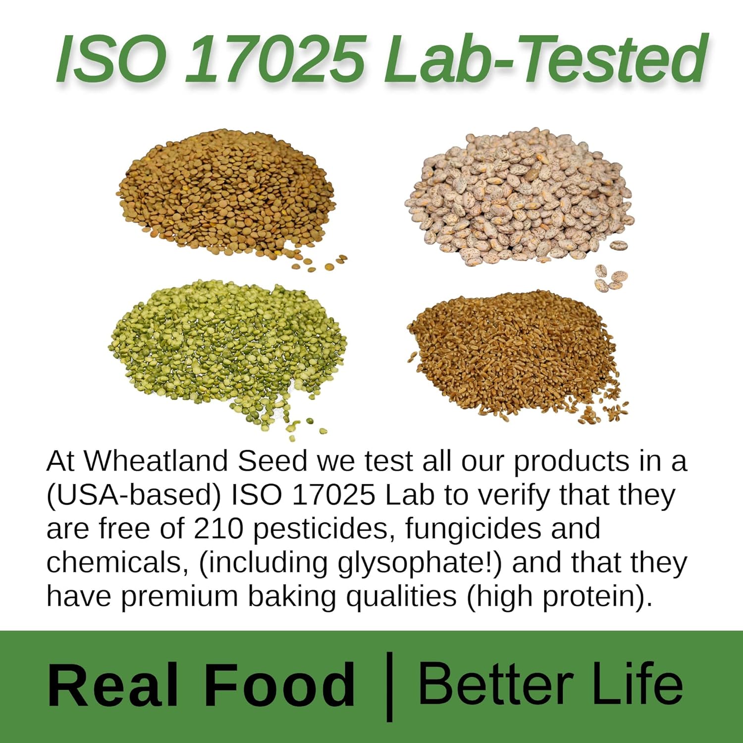 Wheatland Garbanzo Frijoles Garbanzo  Cubo de 20 libras, Mylar, Oxy-Pack  Almacenamiento de alimentos de emergencia  Cultivado en Idaho  Sin OMG