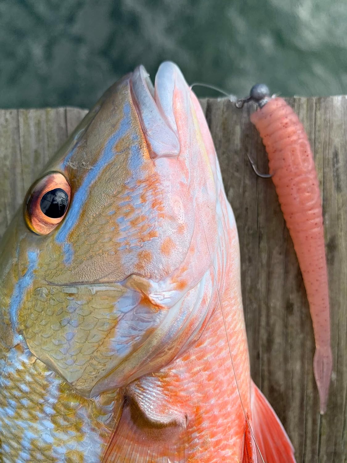 Q8 Super Bait Bullet Jerk Bait