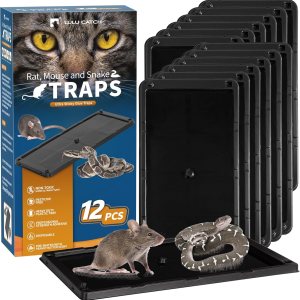Trampa adhesiva para ratones, paquete de 12 trampas de pegamento grandes, precebadas, resistentes y no tóxicas, trampas para ratones en interiores Trampa adhesiva para ratones, paquete de 12 trampas de pegamento grandes, precebadas, resistentes y no tóxicas, trampas para ratones en interiores