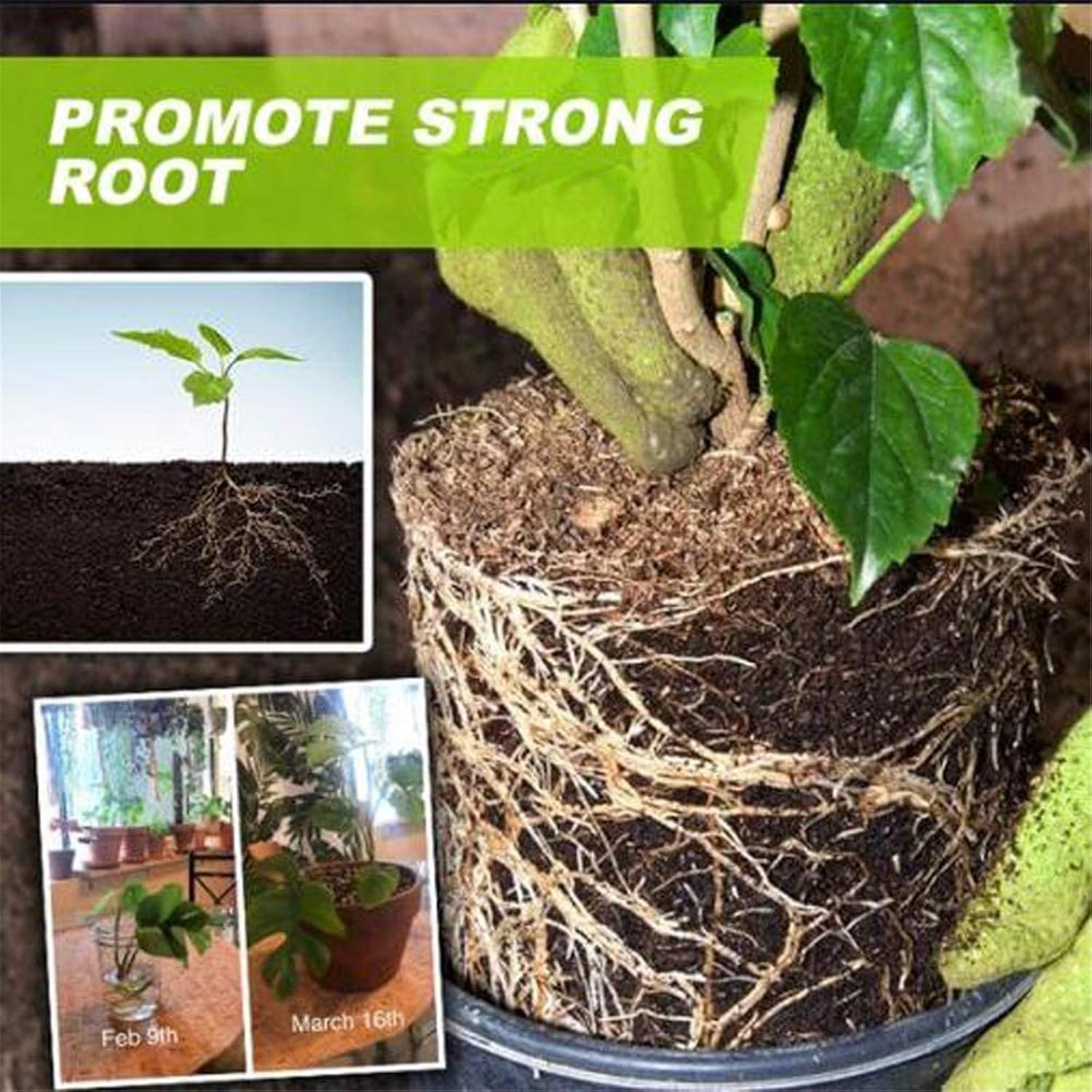 Fertilizante líquido hidropónico, fertilizante líquido para plantas, solución nutritiva hidropónica para plantas, para promover la absorción de la