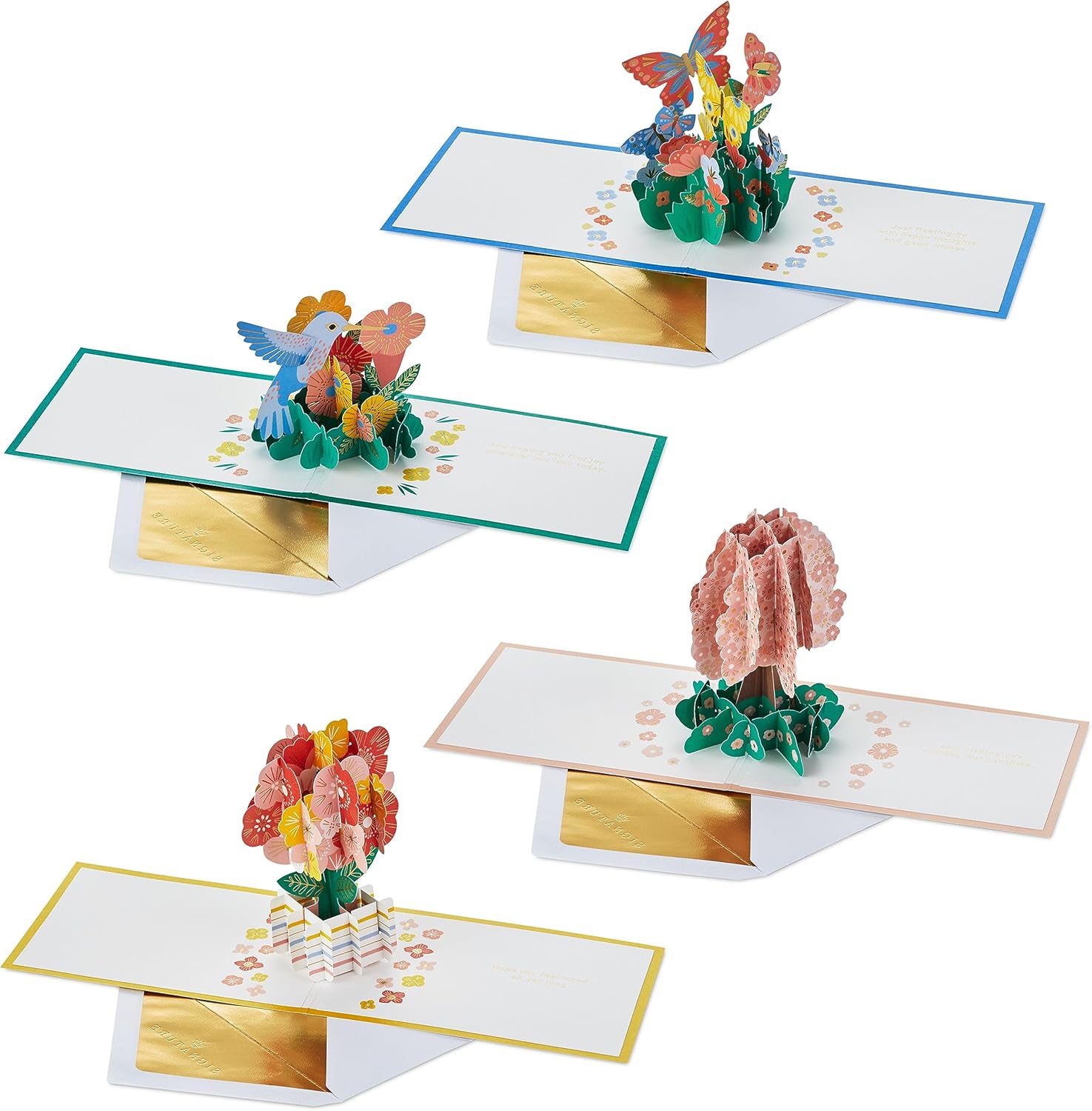 Hallmark Tarjetas desplegables Signature Paper Wonder para pensar en ti, solo porque (4 tarjetas colibrí, flores, árbol, mariposas)