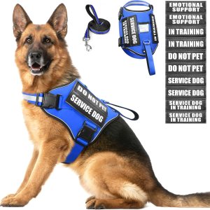 Juego de arnés y correa para perro, chaleco de entrenamiento para perro con 10 parches de velcro, arnés de chaleco de terapia de apoyo emocional Juego de arnés y correa para perro, chaleco de entrenamiento para perro con 10 parches de velcro, arnés de chaleco de terapia de apoyo emocional