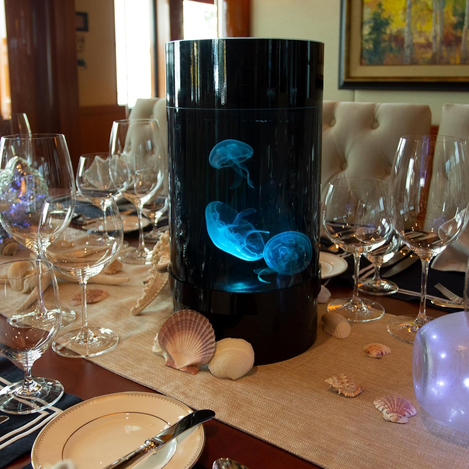 Jellyfish Art Jelly Cylinder Nano Generation 2 (kit solo acuario) – Acuario principiante para medusas vivas