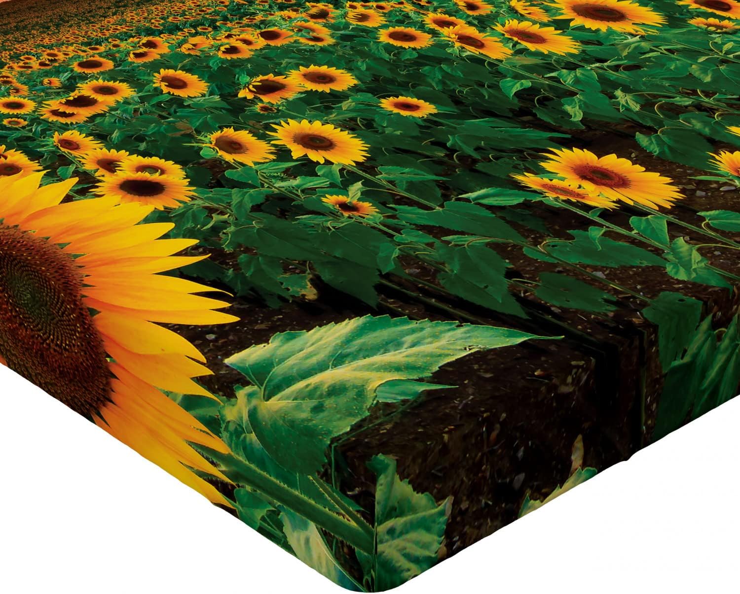 Ambesonne Sábana bajera ajustable de girasol, temática de verano, foto generada digitalmente de flores archivadas al atardecer Vivid Sky, funda de