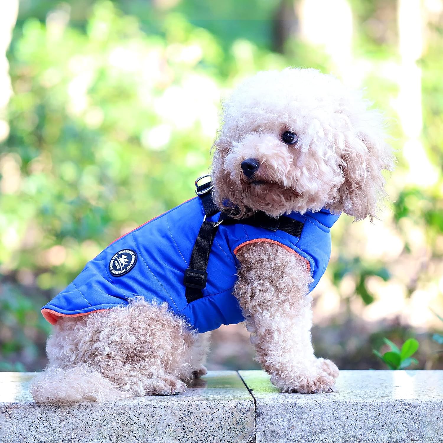 Norbi – Chaqueta cálida para mascotas, arnés de chaleco para perros pequeños, abrigo de invierno 2 en 1 para cachorros, abrigo para clima frío