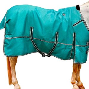 Majestic Ally Manta 1200D Ripstop Horse Turnout de 250 GSM relleno (turquesa, 80 pulgadas) Majestic Ally Manta 1200D Ripstop Horse Turnout de 250 GSM relleno (turquesa, 80 pulgadas)