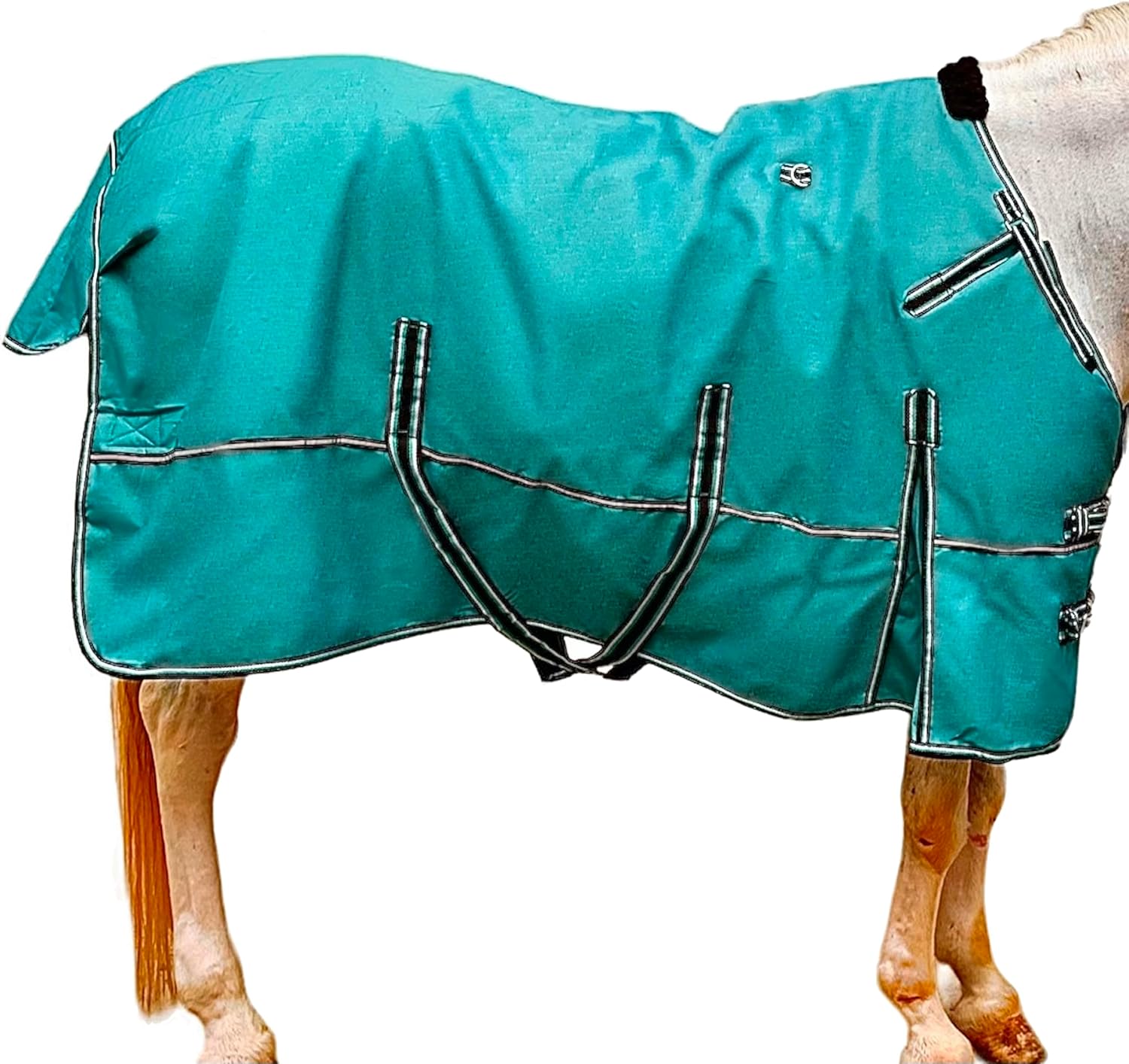 Majestic Ally Manta 1200D Ripstop Horse Turnout de 250 GSM relleno (turquesa, 80 pulgadas)