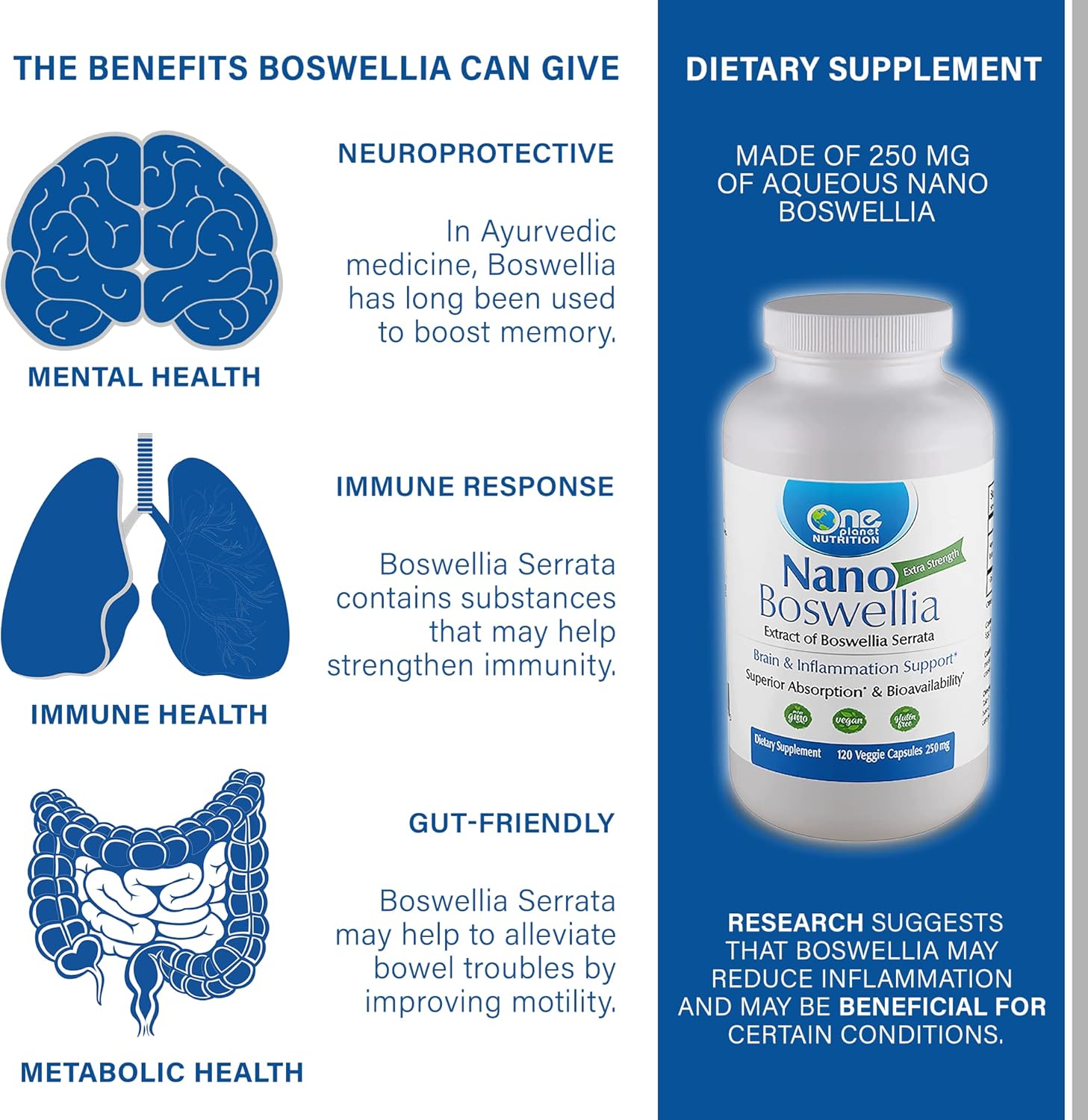 One Planet Nutrition Nano Boswellia 250mg – Suplemento de nanopartículas, suplemento de incienso – Suplementos de apoyo y vitaminas a base de