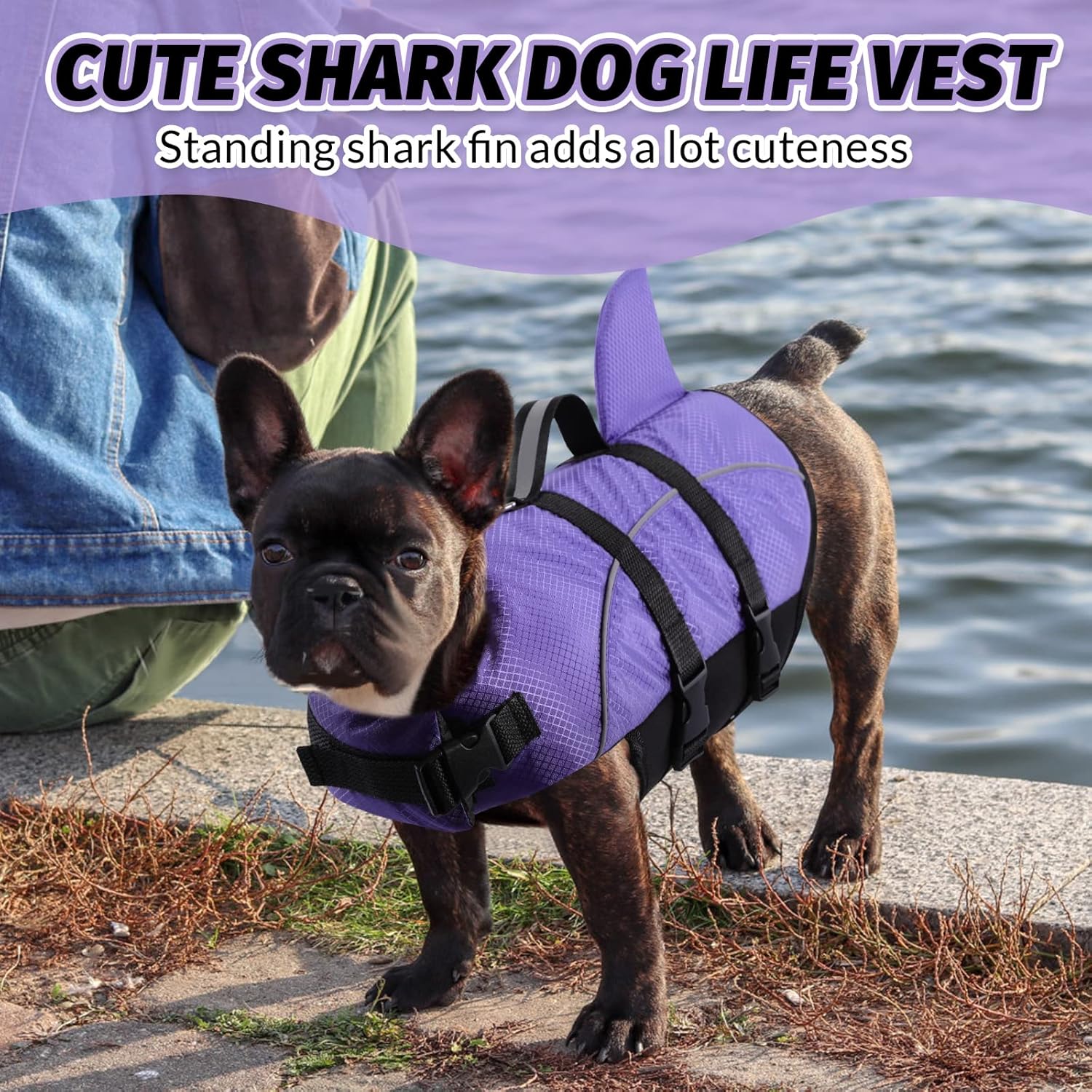 Queenmore Chaleco salvavidas para perros pequeños con diseño de tiburón, para natación, barco, kayak, alta flotabilidad, salvavidas para perros con