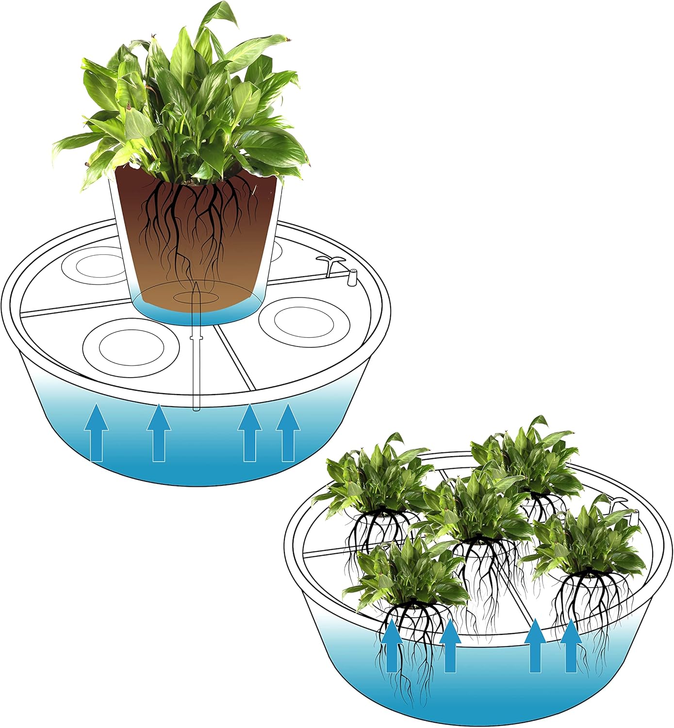 LYLEE Sistema de riego automático para plantas en maceta, paquete de 4 unidades, succión automática redonda blanca con sensor de humedad, maceta