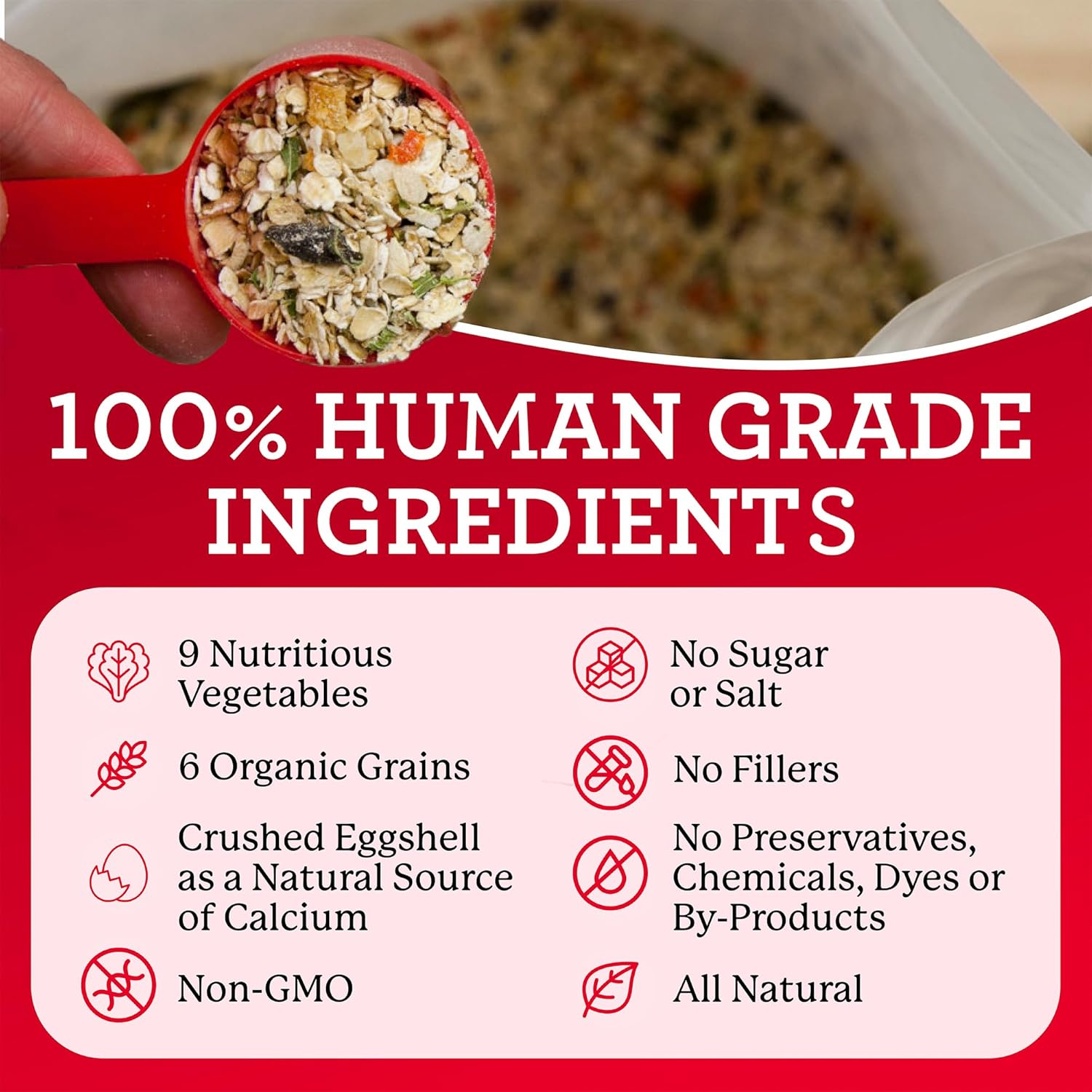 Dr. Harvey’s Canine Health Miracle Dog Food, mezcla de base deshidratada de grado humano para perros con granos enteros orgánicos y verduras (tamaño