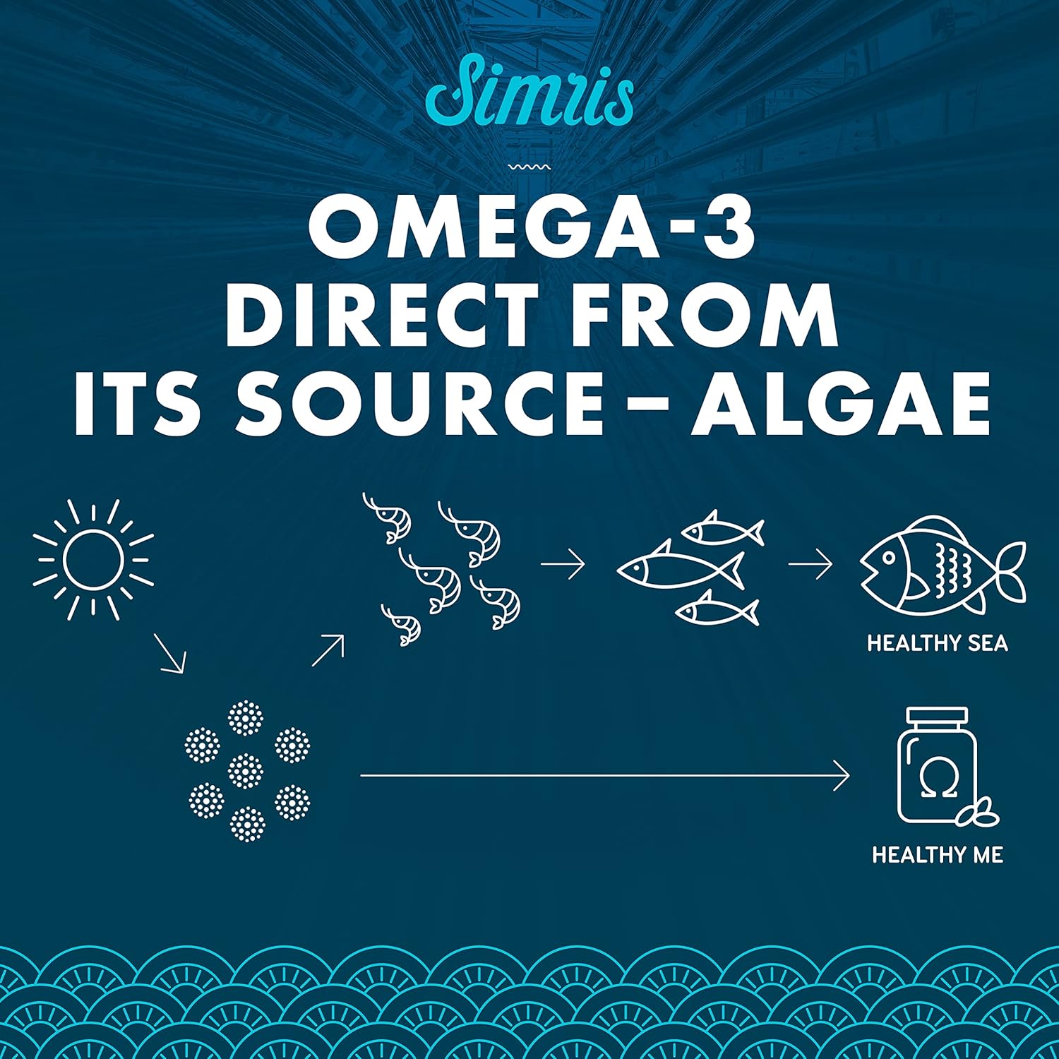 Algae Omega 3-180 Mini Cápsulas Blandas Premium  Suplemento vegano a base de plantas EPA DHA  Alternativa al aceite de pescado  para cerebro, ojos,