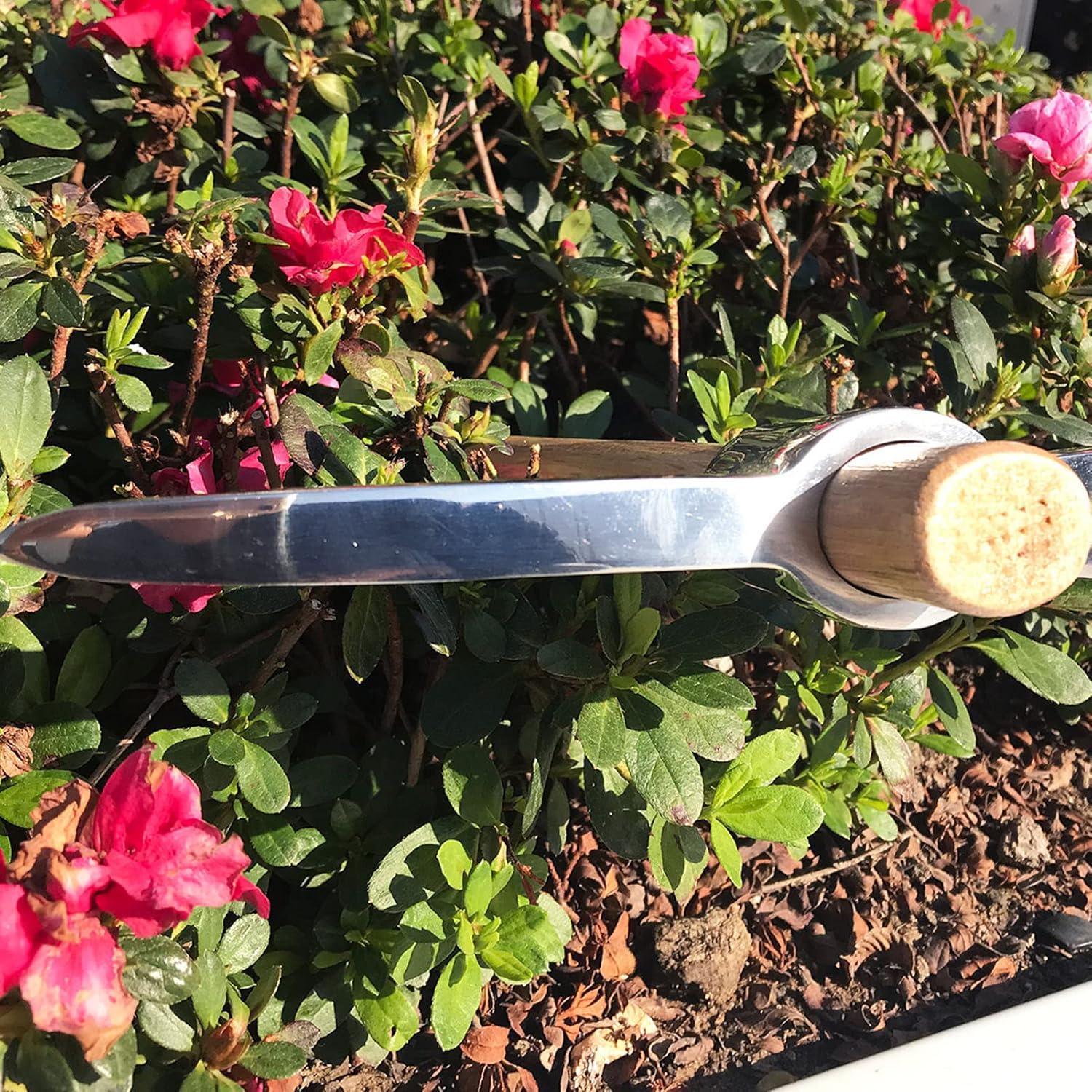 Cultivador de mano de 15.7 in, azada de pico de acero inoxidable resistente y duradero, herramientas de azada de jardinería agrícola con mango de