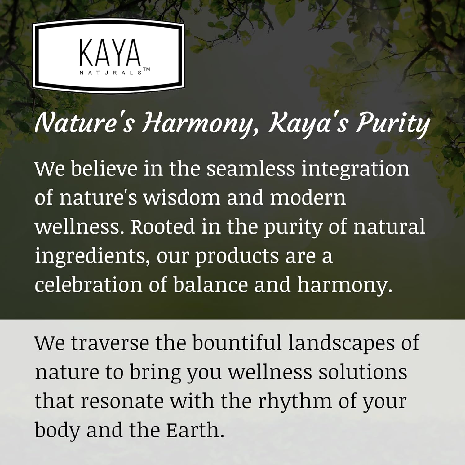 Kaya Naturals Cápsulas de uñas BIOTIN Vitamina D Vitamina B-12 A Apoyo de ácido fólico, Suplemento vitamínico de apoyo para el cabello
