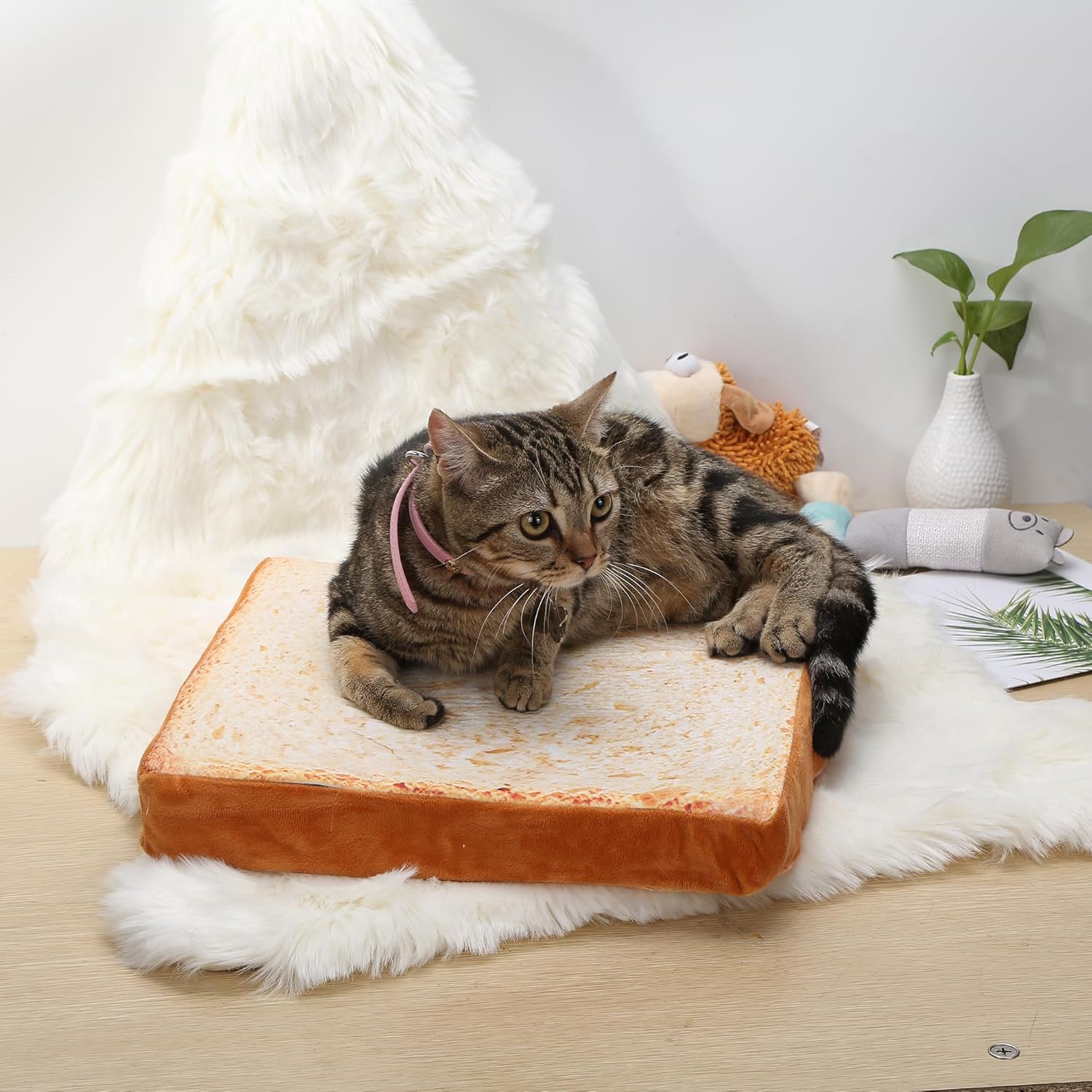 Suhaco Camas de gato para gatos de interior, alfombrillas extraíbles y lavables, cama suave para cachorros, cama de doble cara disponible, cama para