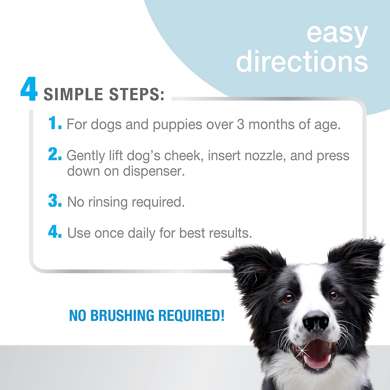 Nylabone Advanced Oral Care – Removedor de sarro para perros en espuma, ambientador de aliento y espuma de limpieza de dientes (4 onzas)