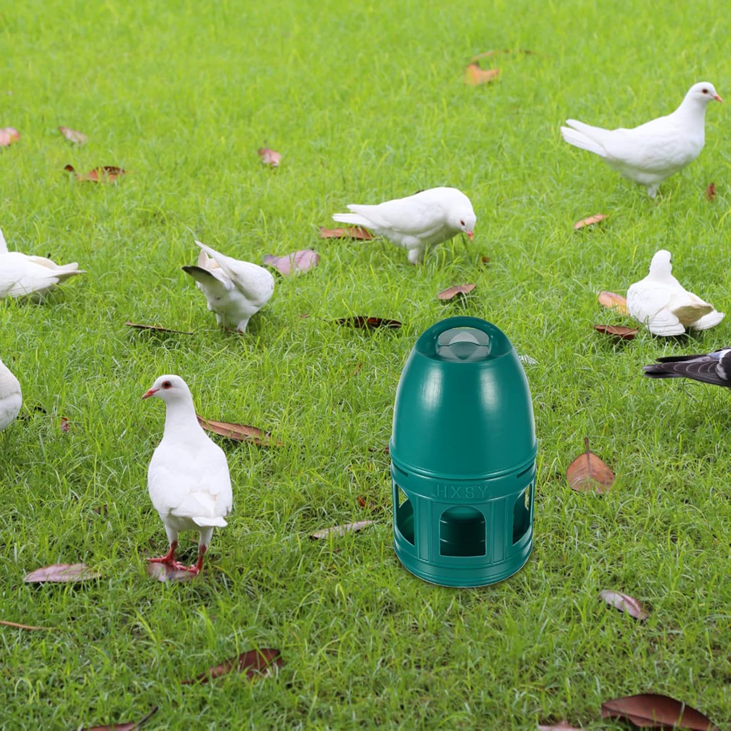 Alipis Dispensador de agua de paloma, tazas de agua de pollo, bebedor de agua para pájaros, bebedero de codornices de plástico, alimentadores